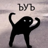 1754375776728.png
