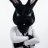 YourBunnyWrote